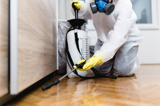 Best Affordable Pest Control Services  in Goulding, FL