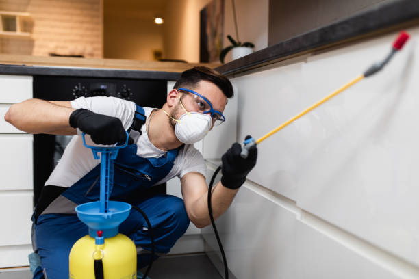 Best Flea Control Services  in Goulding, FL