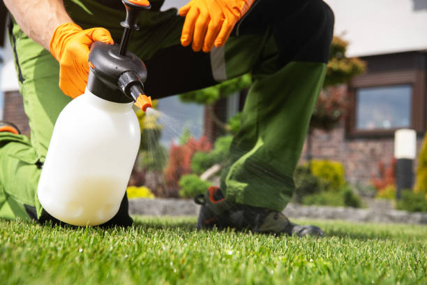 Best Best Pest Control Companies  in Goulding, FL