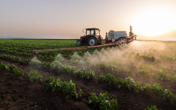 Best Mosquito Control Services  in Goulding, FL