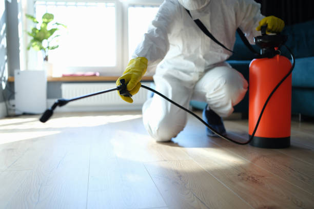 Best Mosquito Control Services  in Goulding, FL
