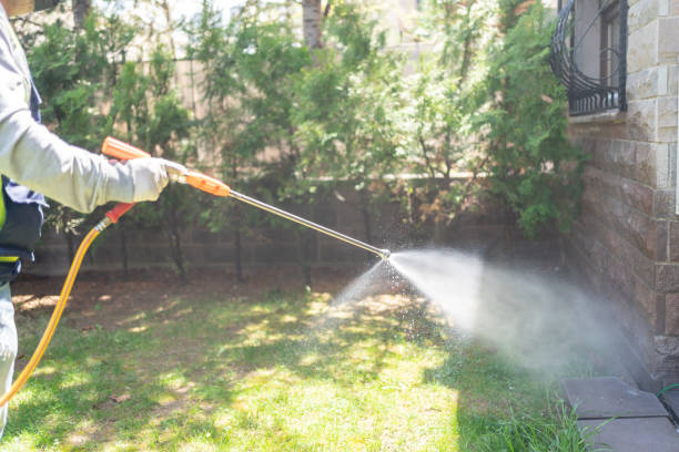 Best Pest Inspection Near Me  in Goulding, FL