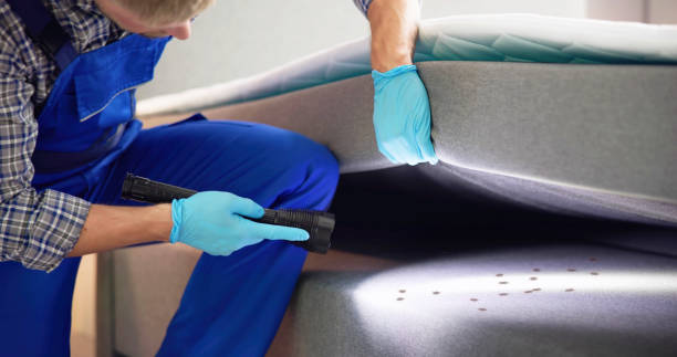 Best Wasp Removal Services  in Goulding, FL