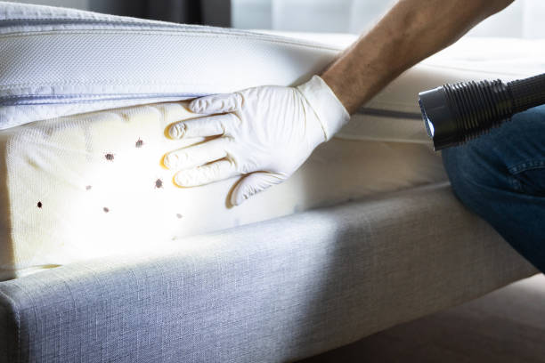 Best Affordable Pest Control Services  in Goulding, FL