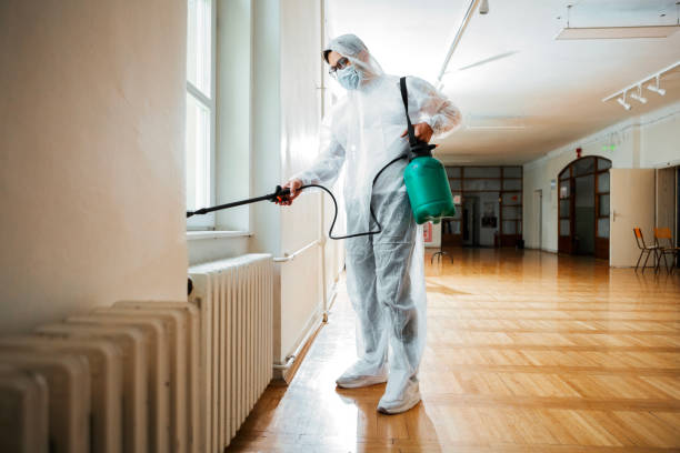 Best Bed Bug Extermination  in Goulding, FL