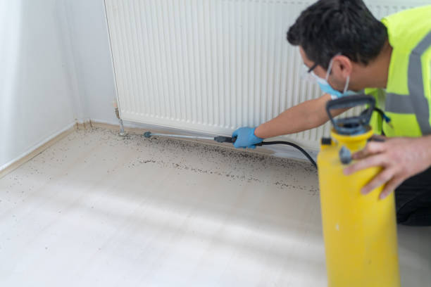 Reliable Goulding, FL Pest Control Solutions